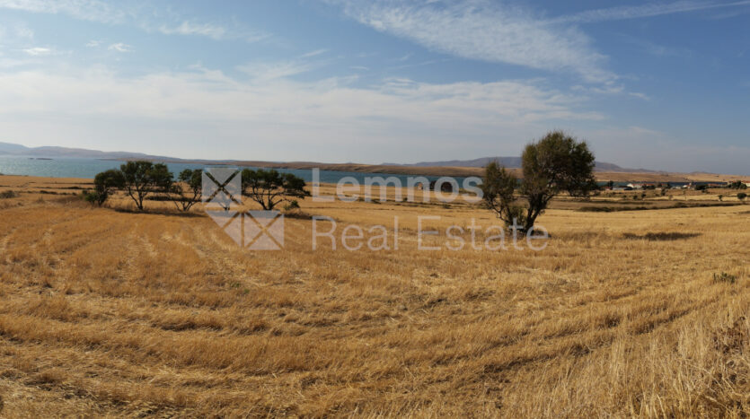 Land plot in Kallithea
