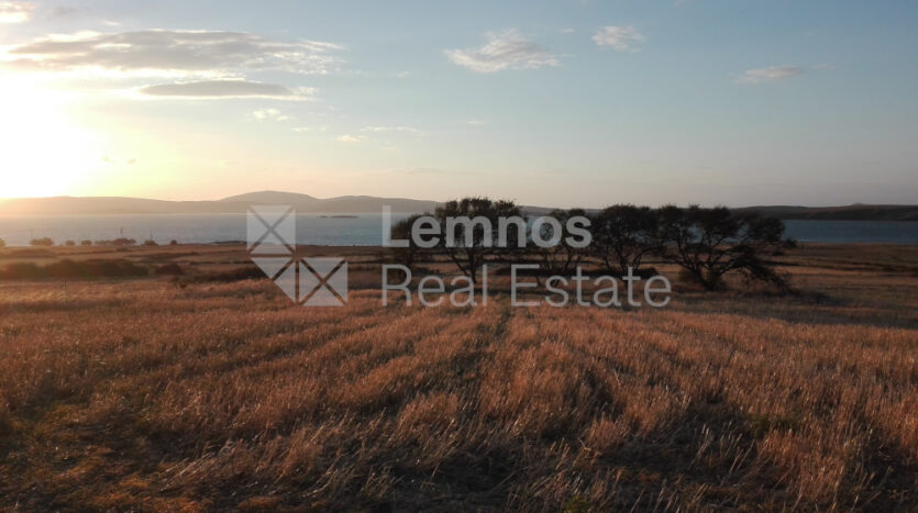Land plot in Kallithea