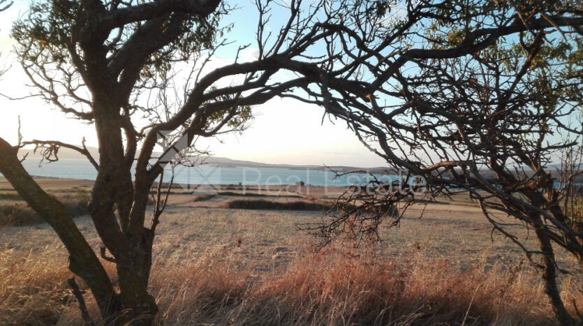 Land plot in Kallithea